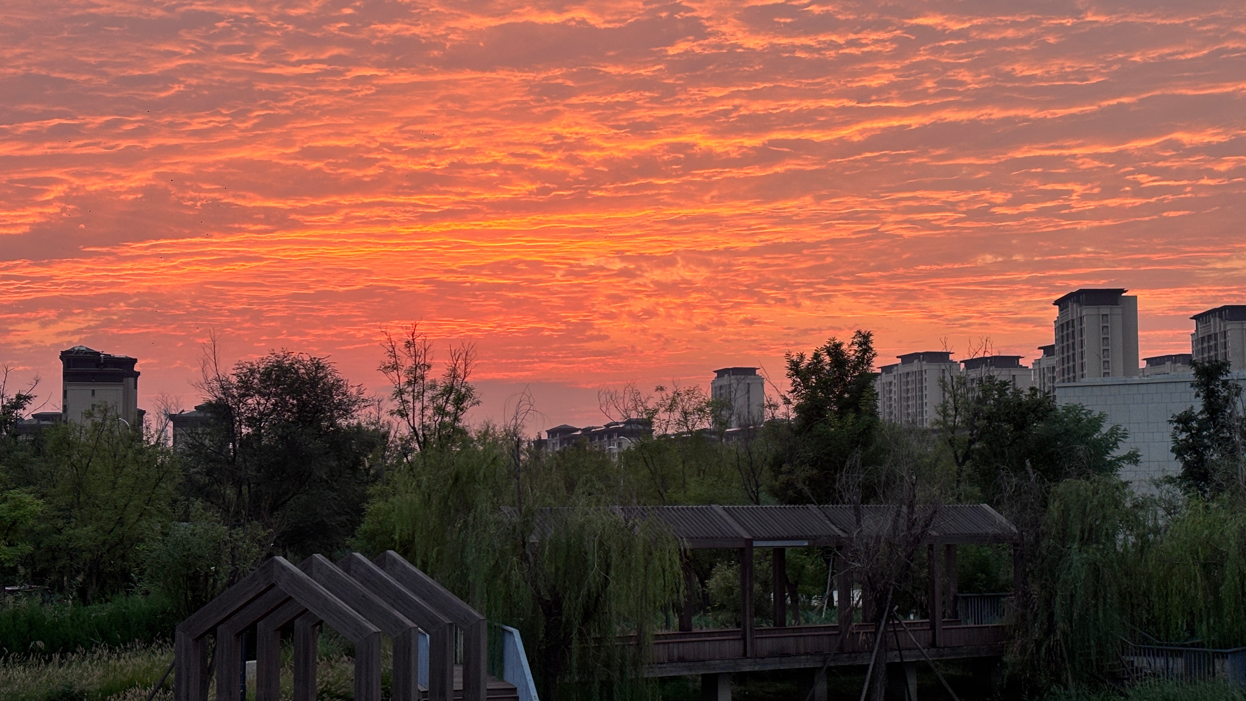 夕阳无限好 只是近黄昏。随手出片好有意思 ​​​