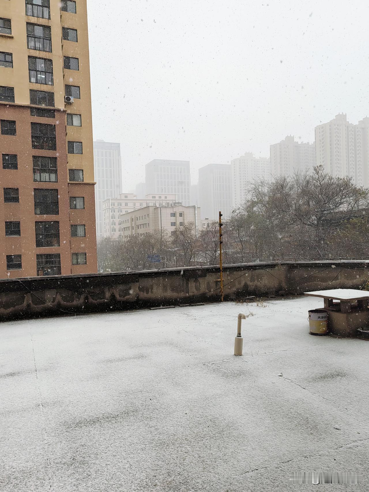 友们你那下雪了吗？
我们石家庄迎来了一场看的见又大的雪。[大笑]

这雪越下越大