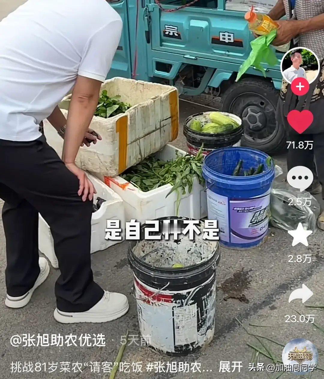 冲上热搜“河南81岁爷爷卖菜”事件：我看到了人性最大的恶 