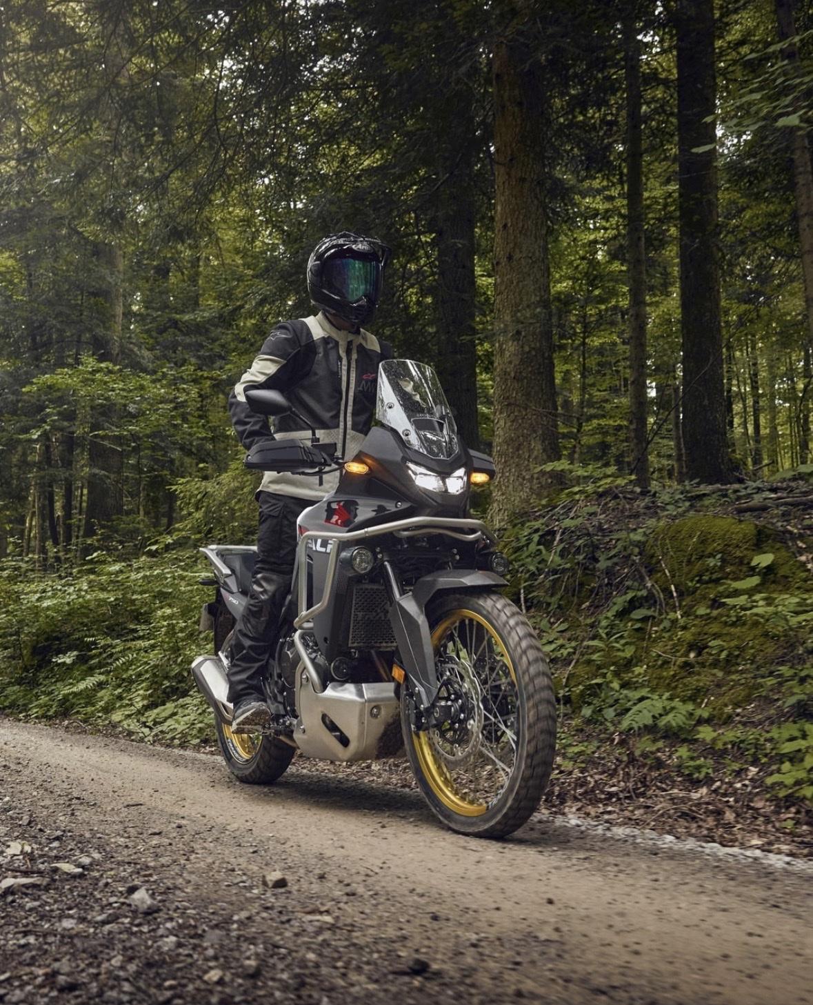 以树为镜，观照本心；以心修身，守稳自洽🌿
树静而立，不问风雨，人亦如此，稳住