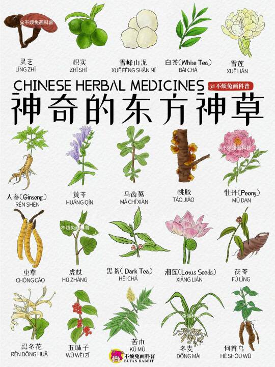 📕盘点神奇的东方神草Chinese Herb
