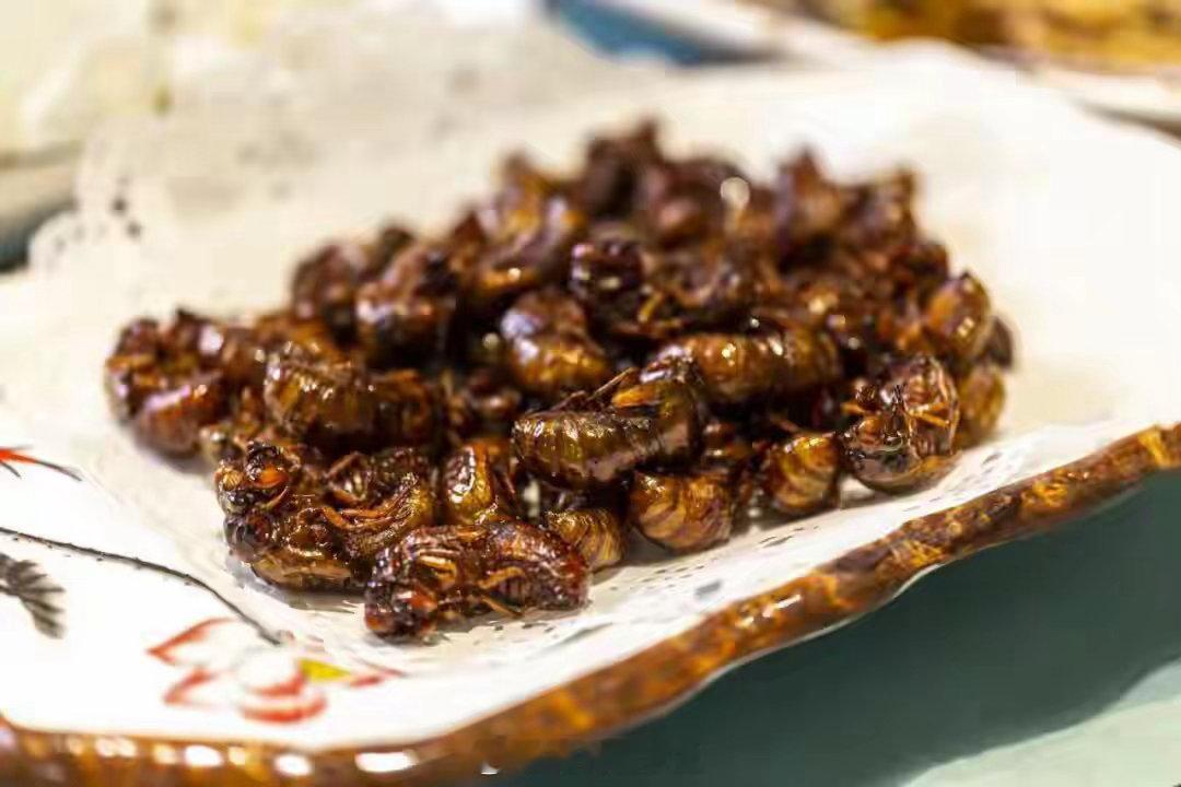 知了和知了猴是不是同一种昆虫最近，一个看似简单的问题在网上炸开了锅：“知了”和“