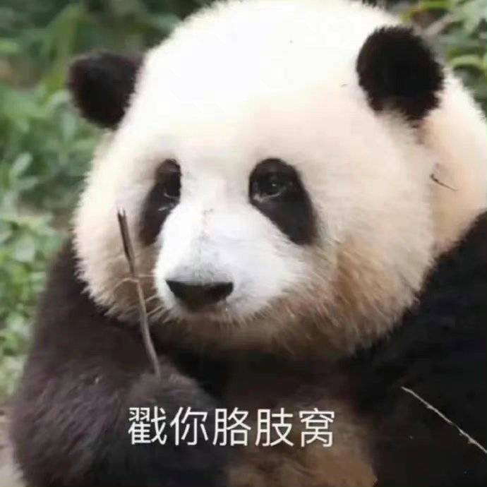 昨天跟书记说 我就是家务不行 工作上 真不这样好了 今天就出错了 哼 我就这样了