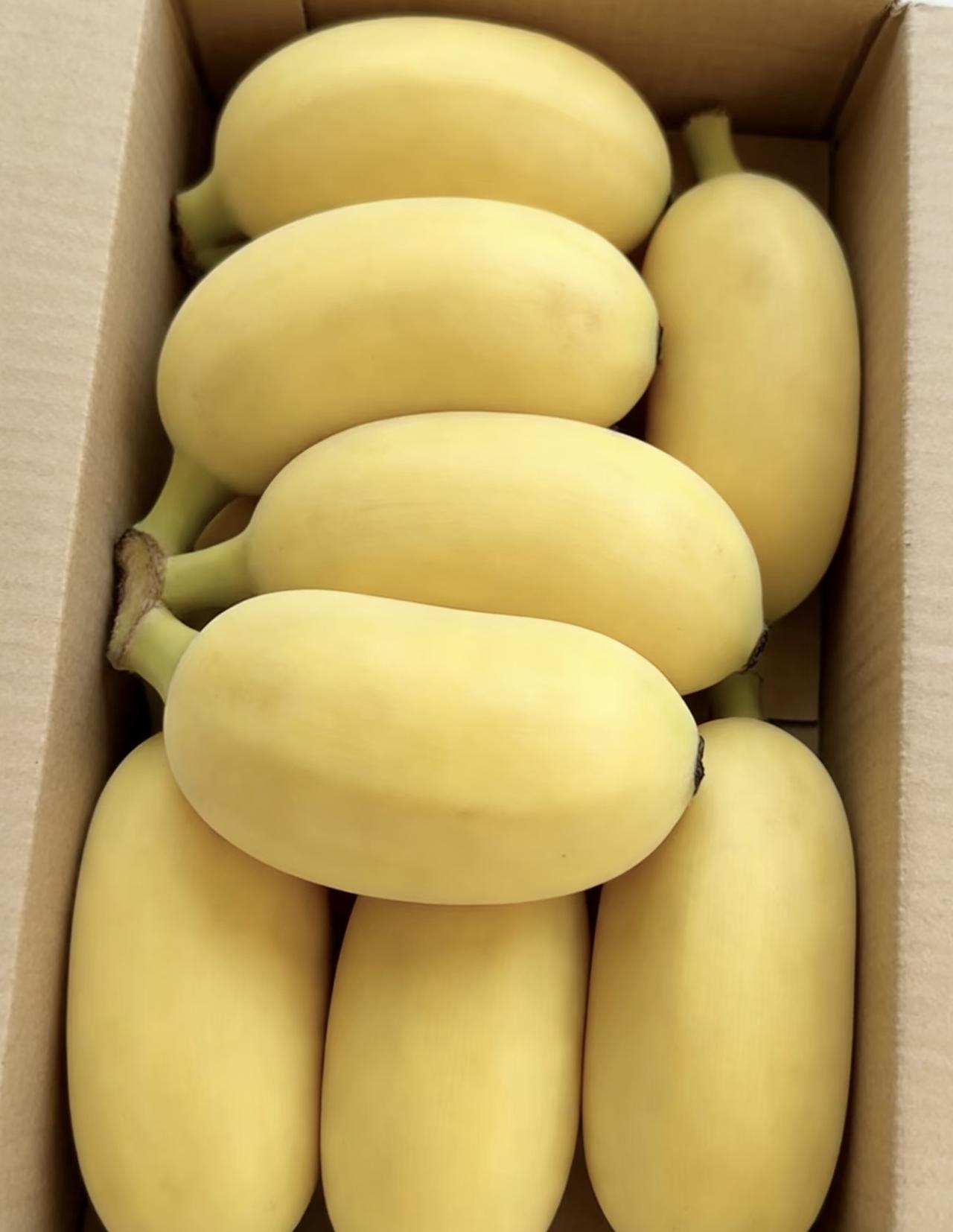 请问这是啥香蕉🍌准确的名字该咋叫？怎么这么胖嘟嘟的，好可爱😊

这种品种应该