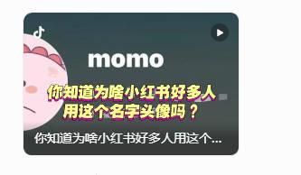 到处都是 momo的网络，到处都是情绪和宣泄。
我有点奇怪，为什么小红书里，到处
