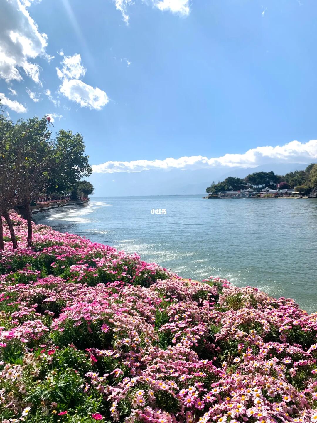 这就是live图的意义｜去有风的地方