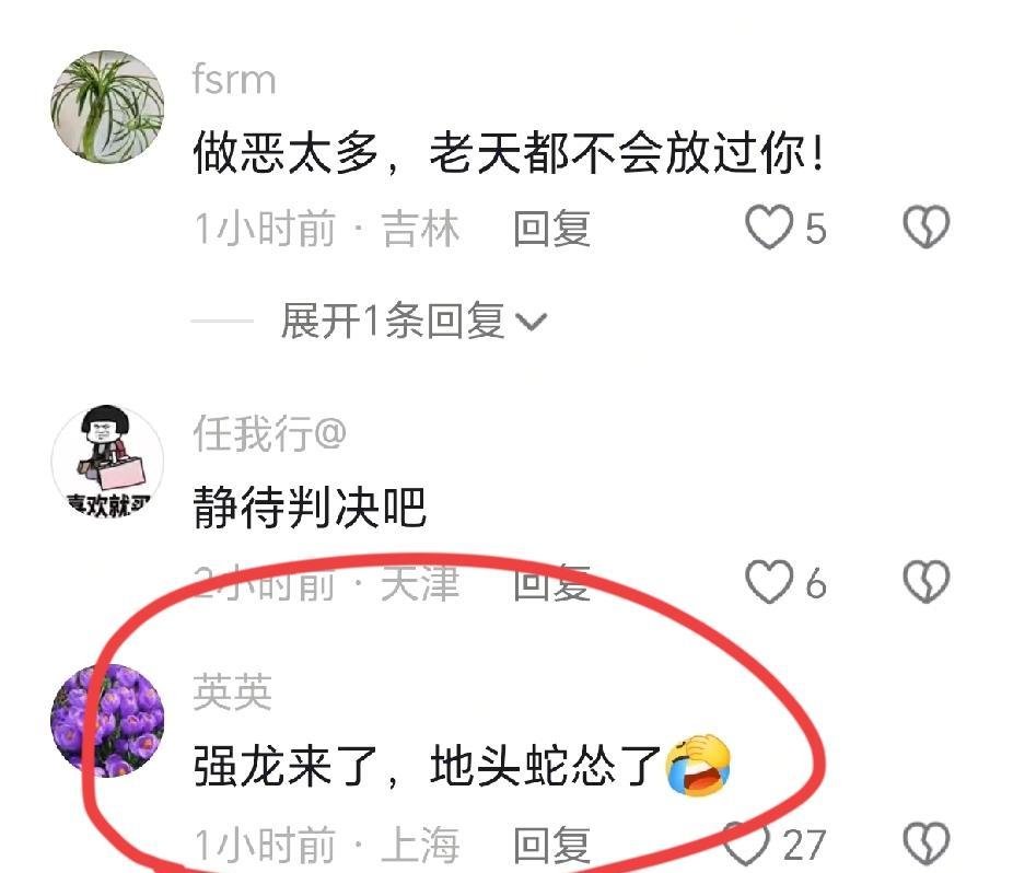 她曾是杜营最硬的盾。
现在，这面盾，成了刺向旧主最利的矛。
雨下得很大。
那个叫