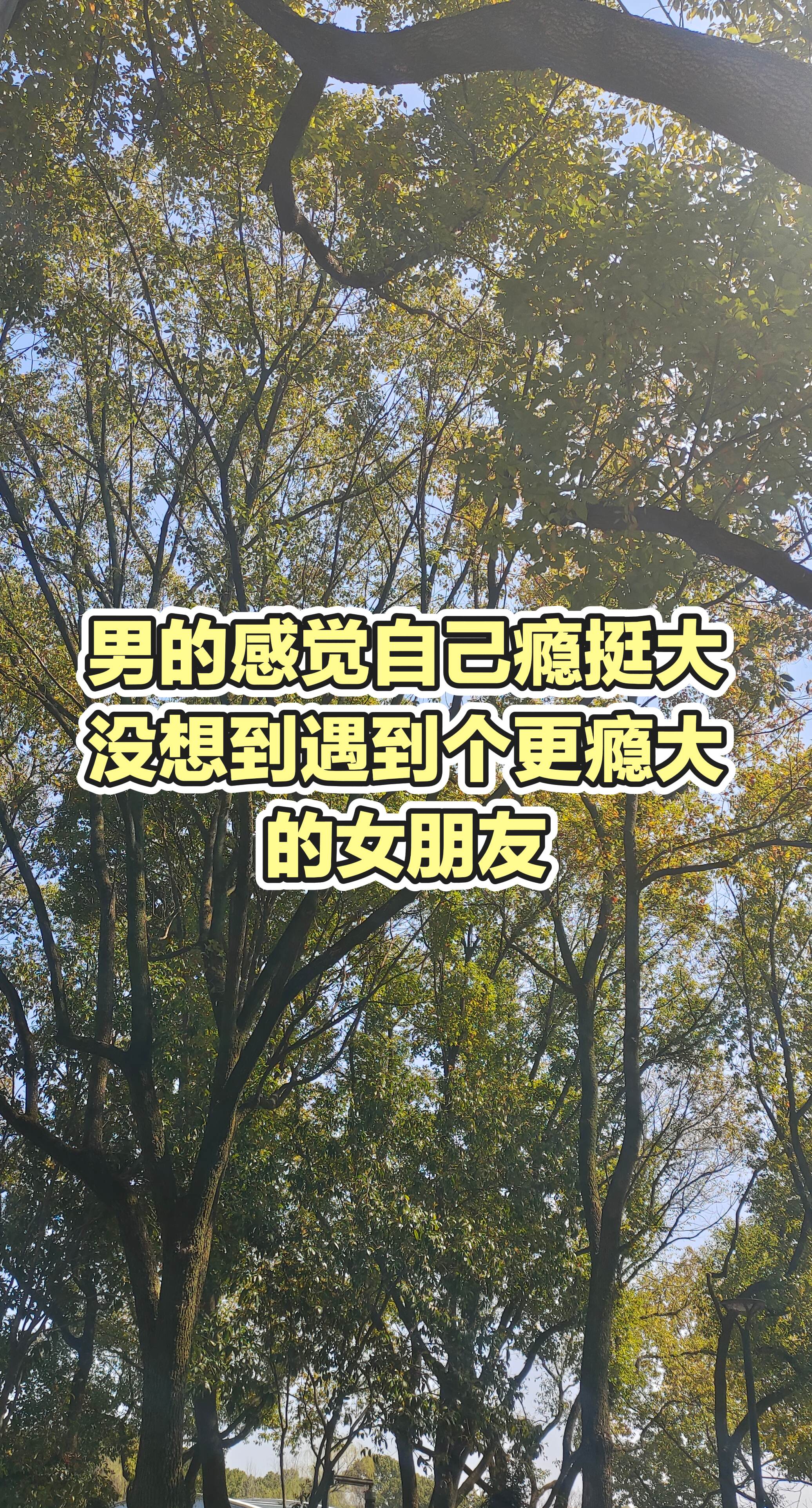 有趣视频分享