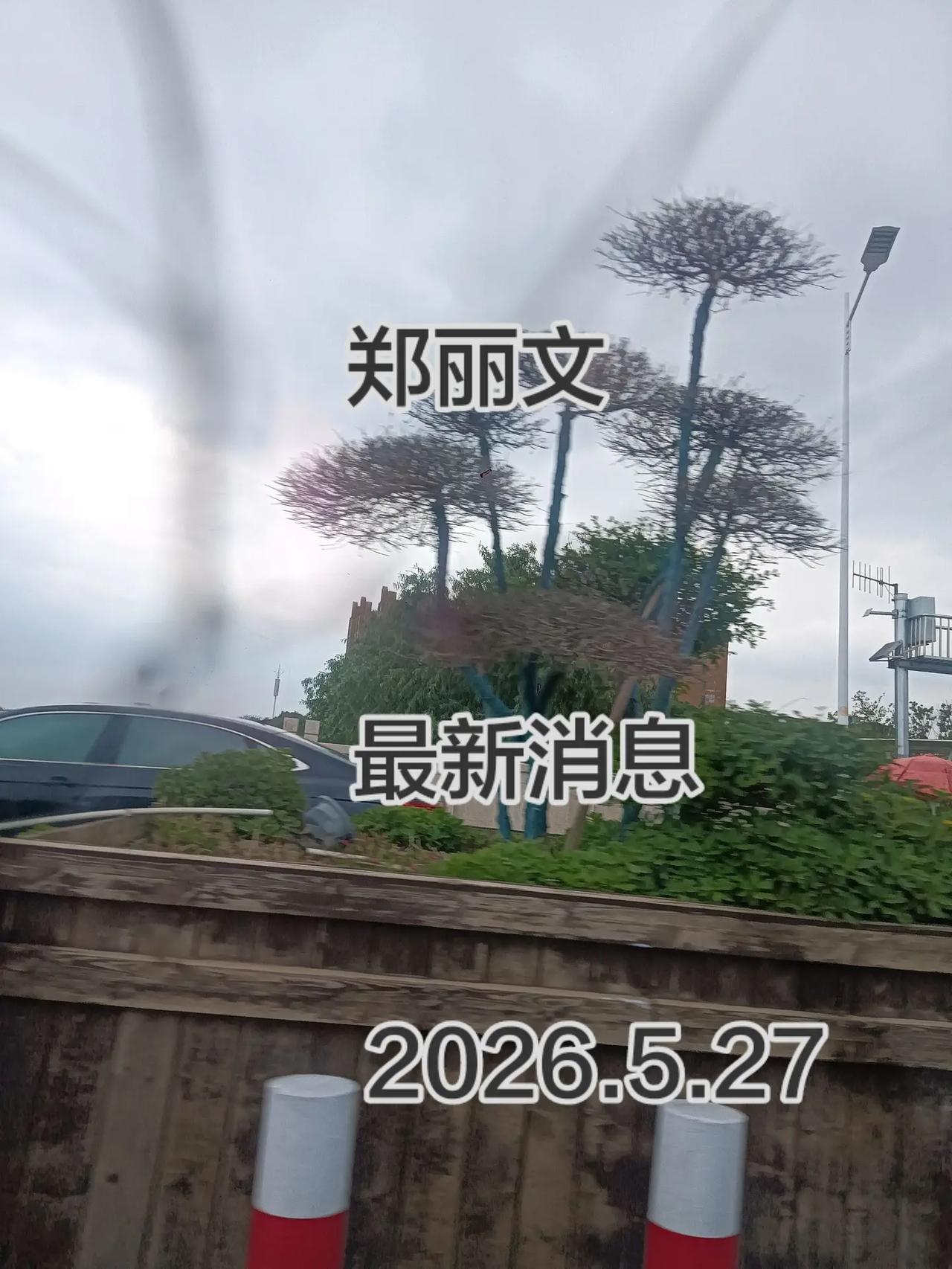 祖国万岁郑丽文