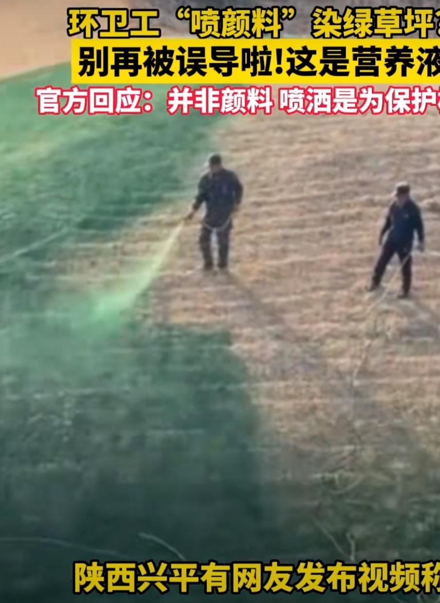 陕西草坪“喷绿”引众怒：是养护创新还是面子工程？真相藏在细节里
 
12月10日