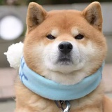 绿贵热聊体育