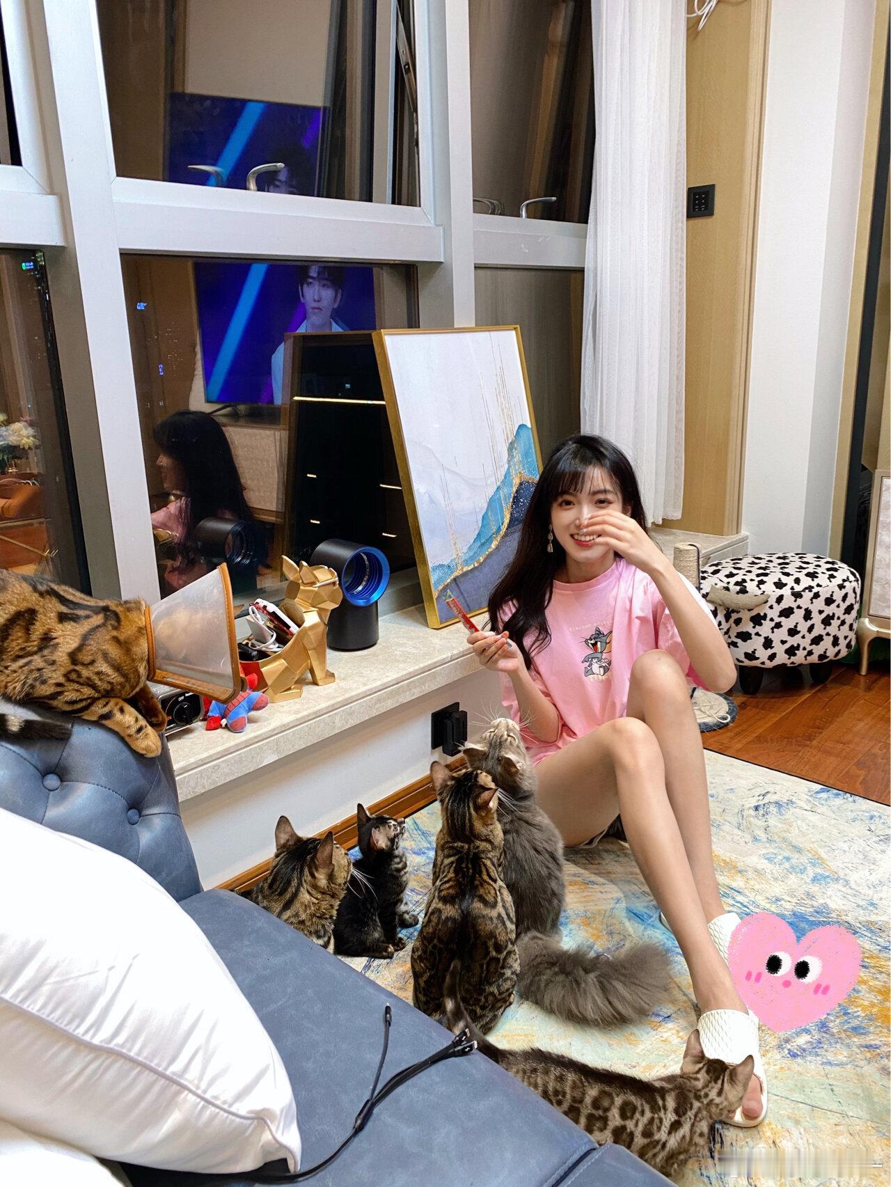 养五只豹猫➕一只缅因是什么体验🐈首先我的猫猫不卖哦这都是陆陆续续来我家的（小的
