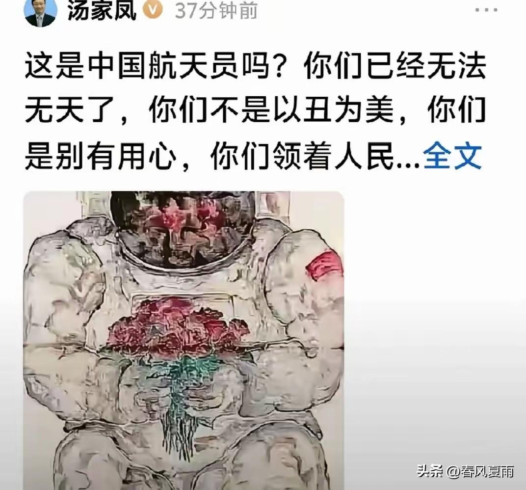 “这是中国航天员吗？你们已经无法无天了，你们不是以丑为美，你们是别有用心，你们领