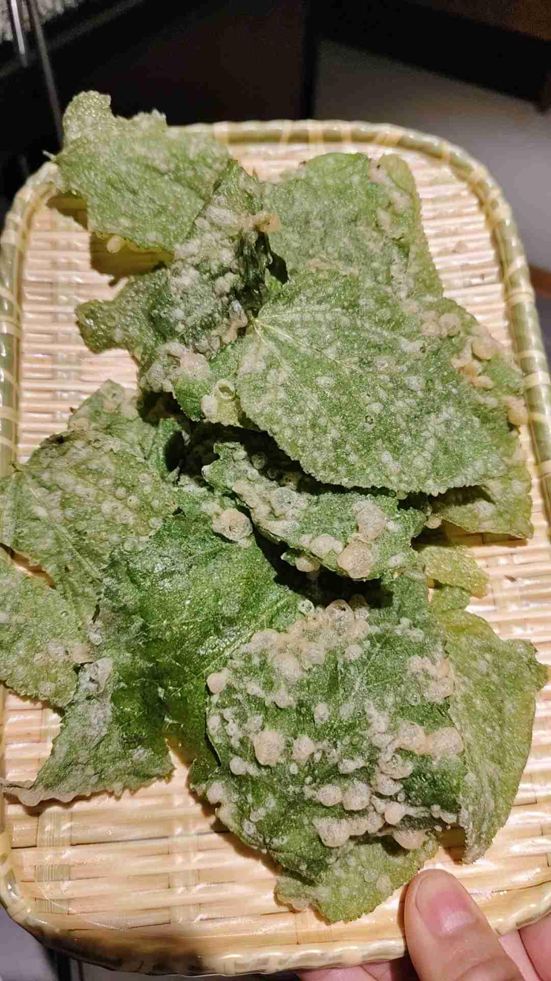 今日份早餐女儿说我们两个出去吃，地方选择在南珍茶楼是海南的老爸茶非遗店，招牌有海