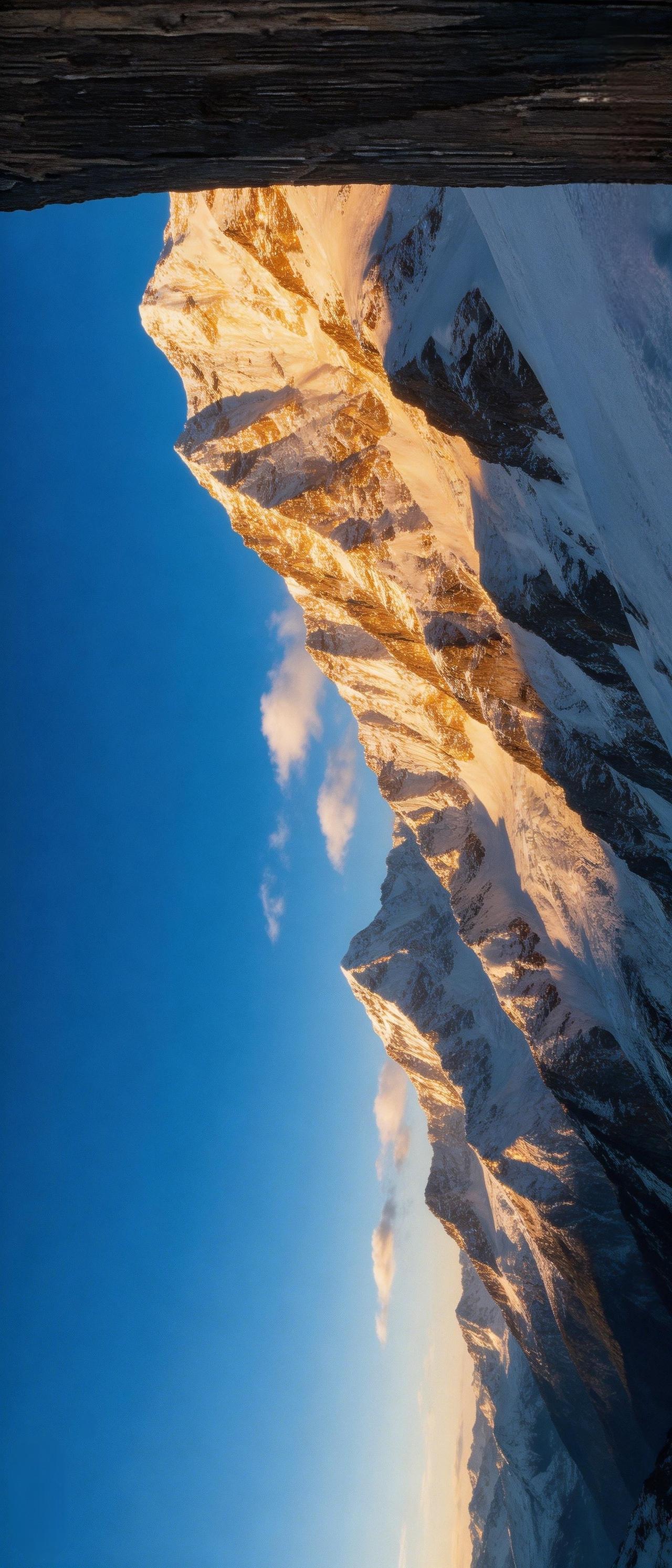 分享一张非常好看的照片