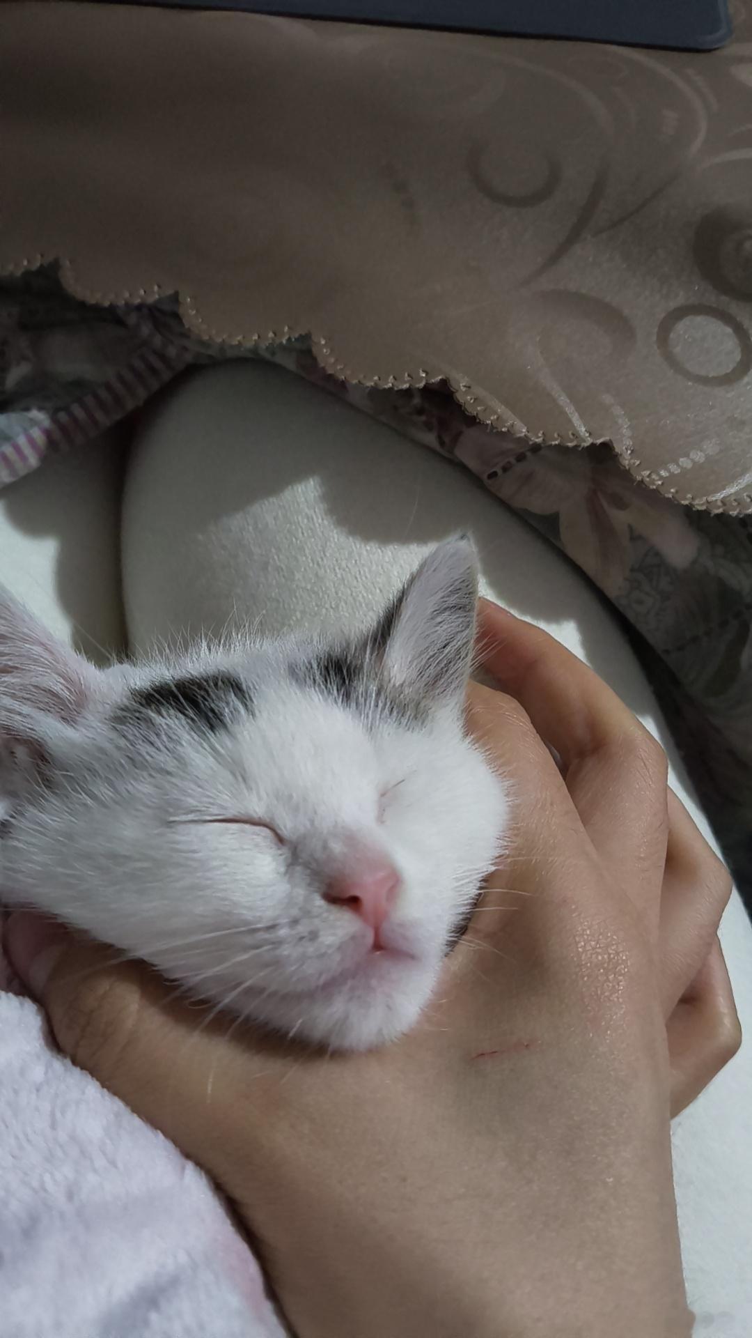 犯罪嫌疑人加罪证 