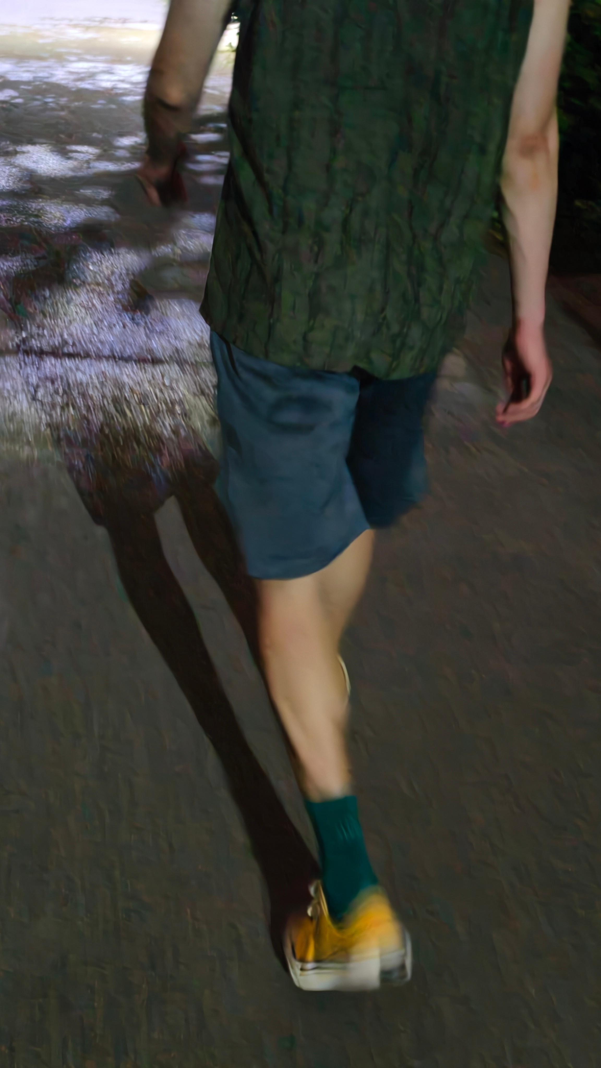 送大鹅一双新鞋 