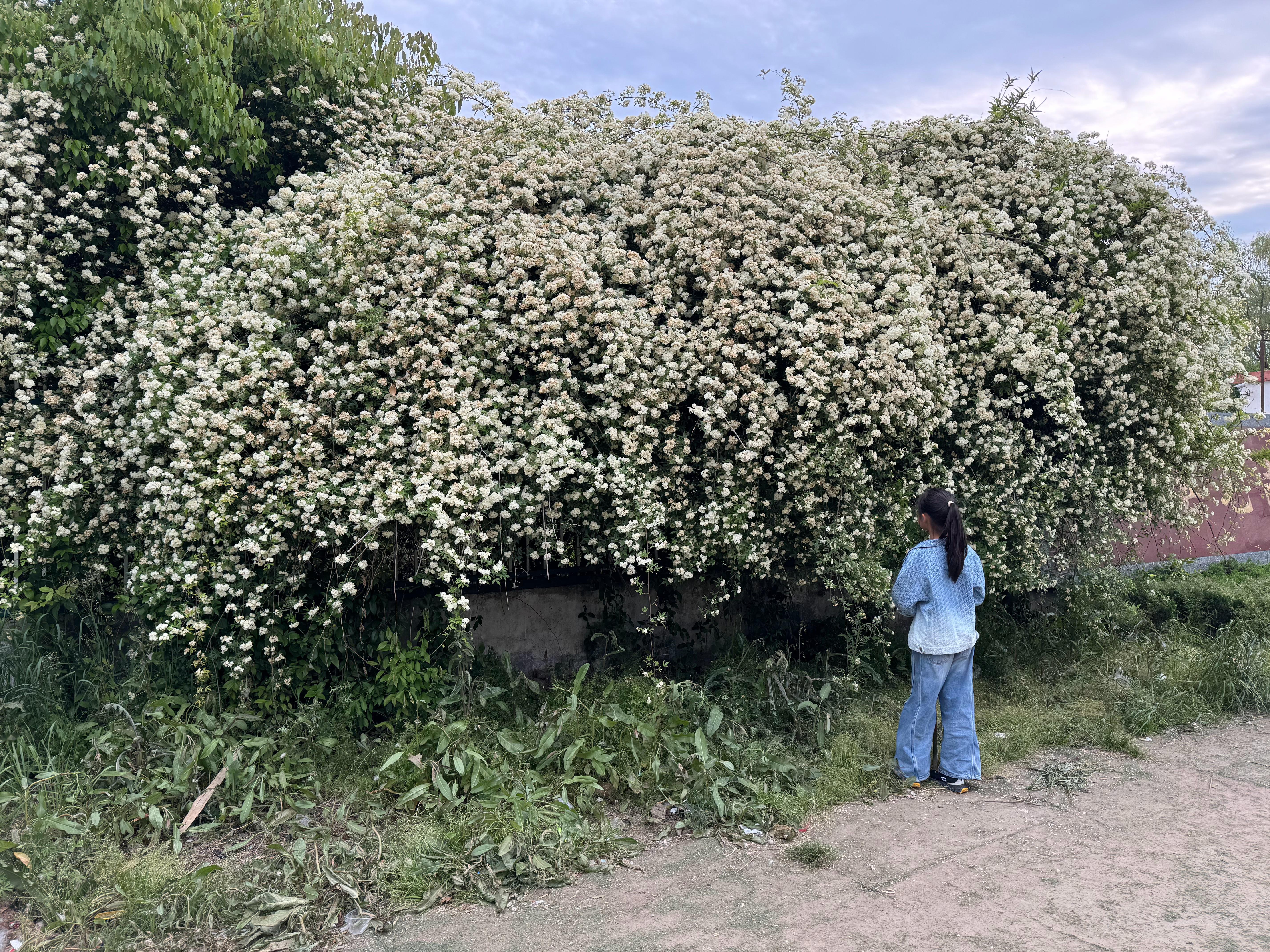 家乡的味道 连云港·东海