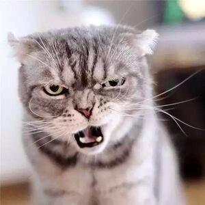 美团删照片现在好多App都这德行，要一堆权限，不给还直接不让用，太霸道了～ 