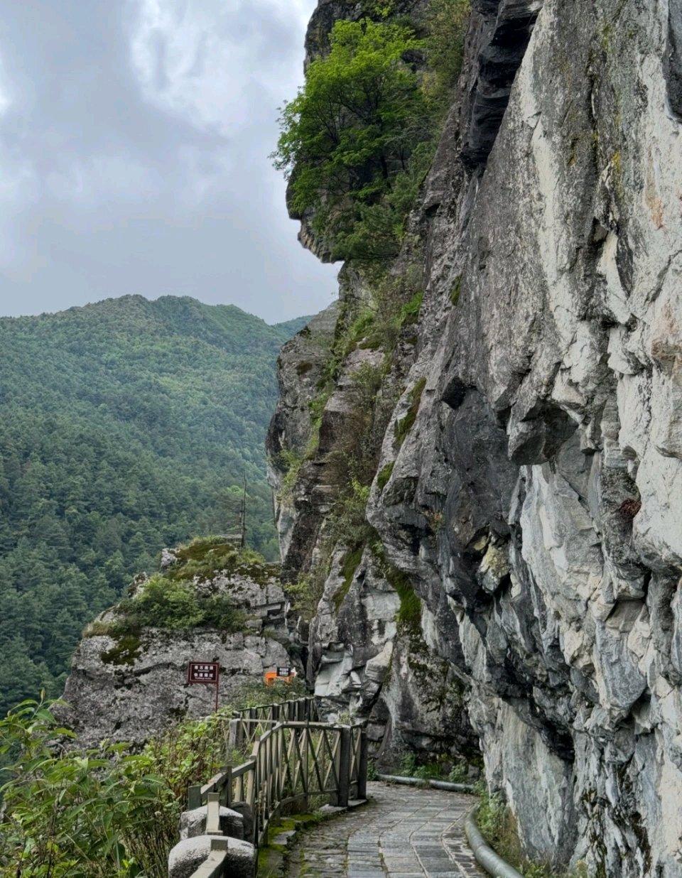 近日大理苍山发生了一件令人痛心的事，一名二十多岁的外地男子在苍山玉带路疑似自缢身