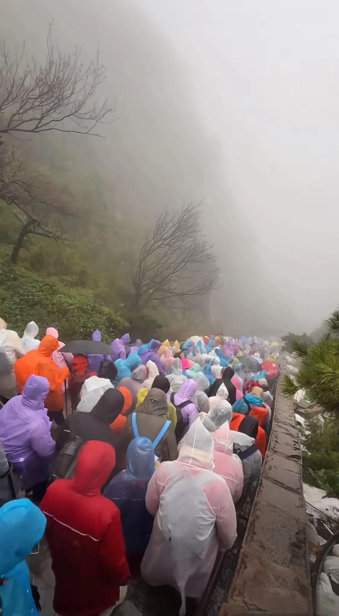 今天泰山下大雨了，雨中登泰山，多么富有诗意；雨中登泰山，别有一番意境在心头；雨中