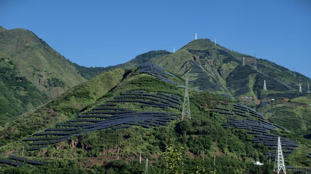 从昭通去巧家，沿途漫山遍野全是这东西，谁能告诉我这是啥呀，密密麻麻，排的还挺整齐