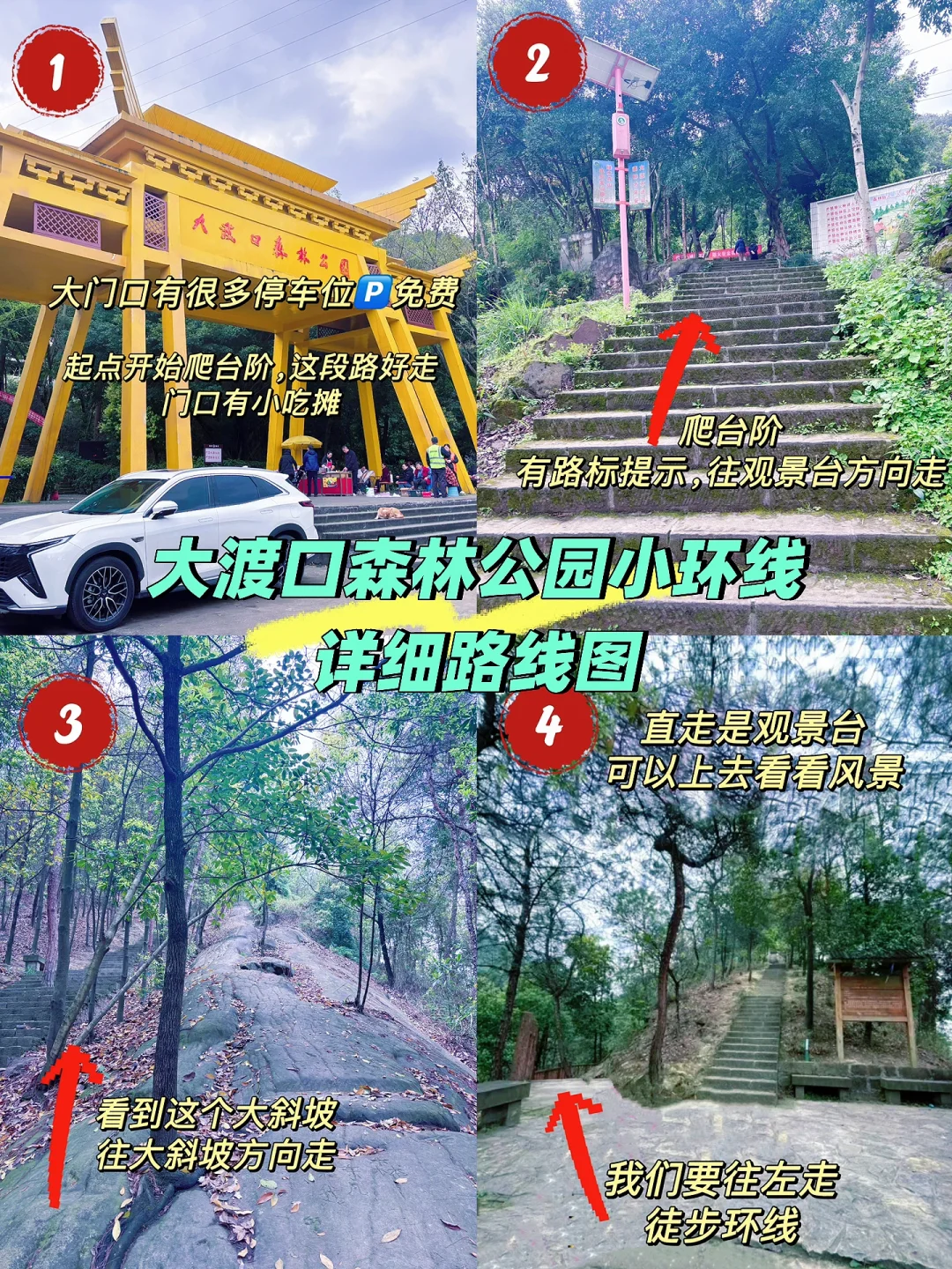 大渡口森林公园小环线，打野+刺泡儿马上熟了