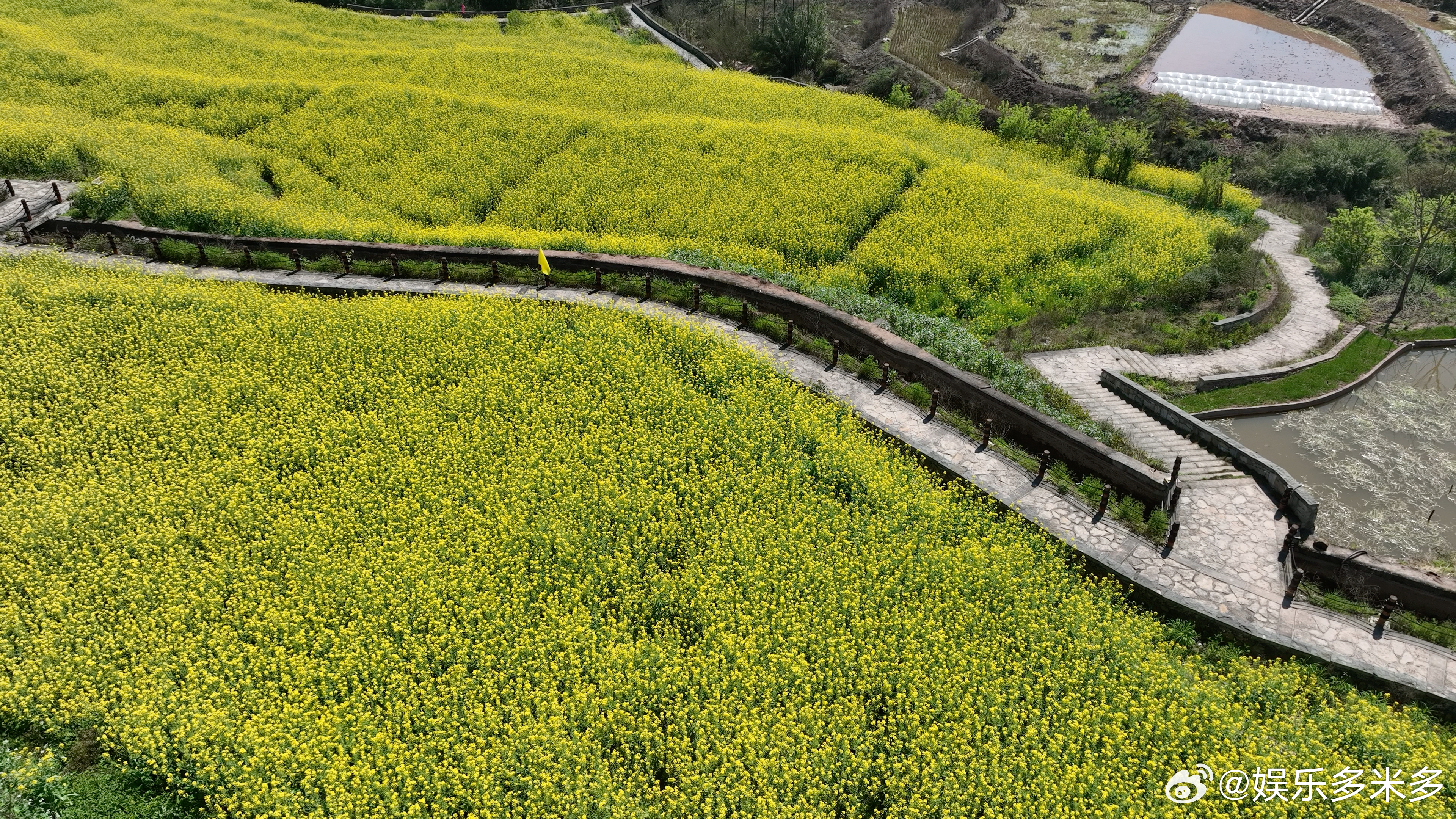 去九丝文昌会赴一场春天的花事是时候来九丝踏春了 九丝的春天是视觉盛宴，李花雪白耀