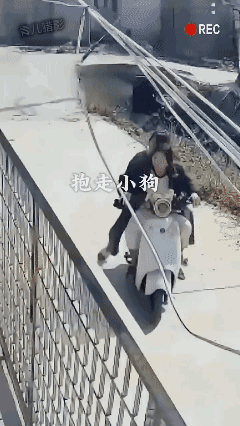 小狗被抱走了，
你们会善待它吧 ？[泣不成声]