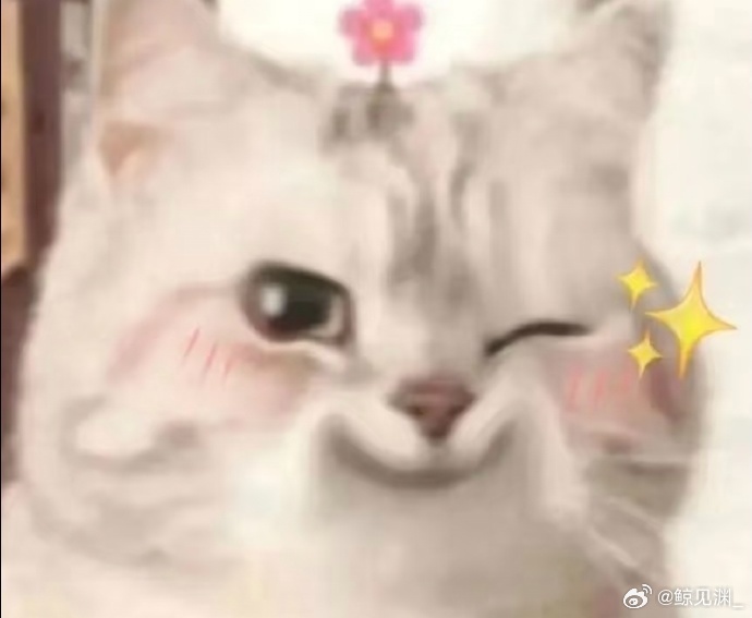 在职场被重视是什么感觉 再也不是默默打杂小透明，重要项目会想着带上自己，犯错有人