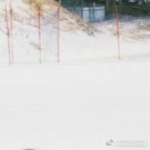 阳光信用 l森林驿站 善念如细雨，滋润心田田。善心生善行，德行日渐全。人往善处行