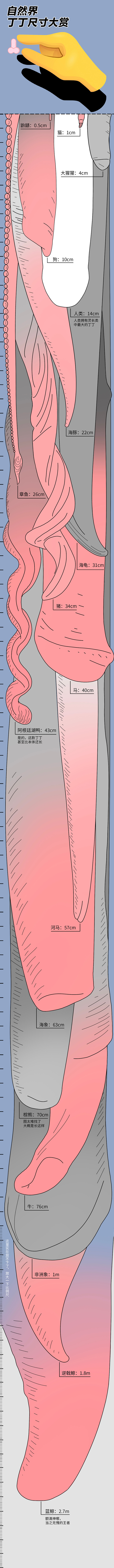 每次看兽交本子，感觉画师都极度夸张动物的几把，大型犬感觉还在“比人的几把粗”的范