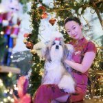 霍思燕爱犬在国际比赛夺冠 霍思燕身着旗袍与爱犬携手，勇夺国际犬展冠军，这一幕既优