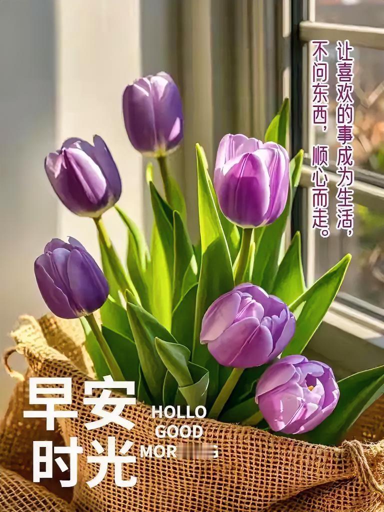 顺心而行，让热爱点亮日常。早安，愿时光温柔相伴。