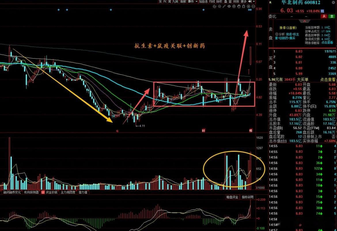 大A本周最牛的票已经诞生了！低位2连10cm，核心原因涉及抗生素+鼠疫关联+创新