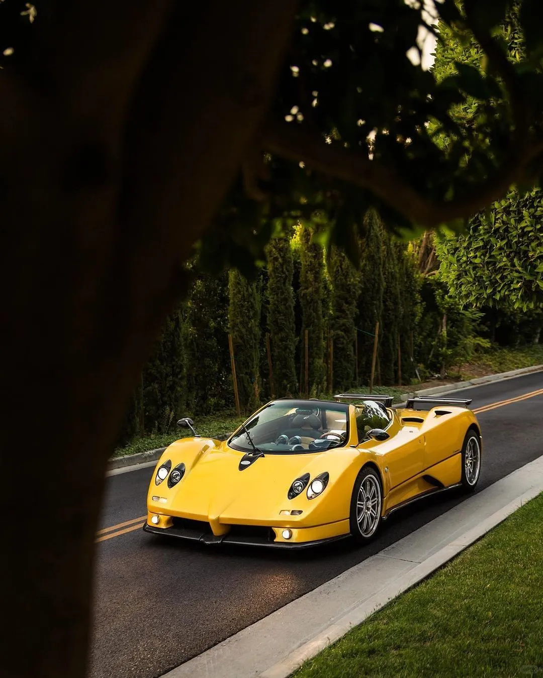 > Pagani Zonda Roadster