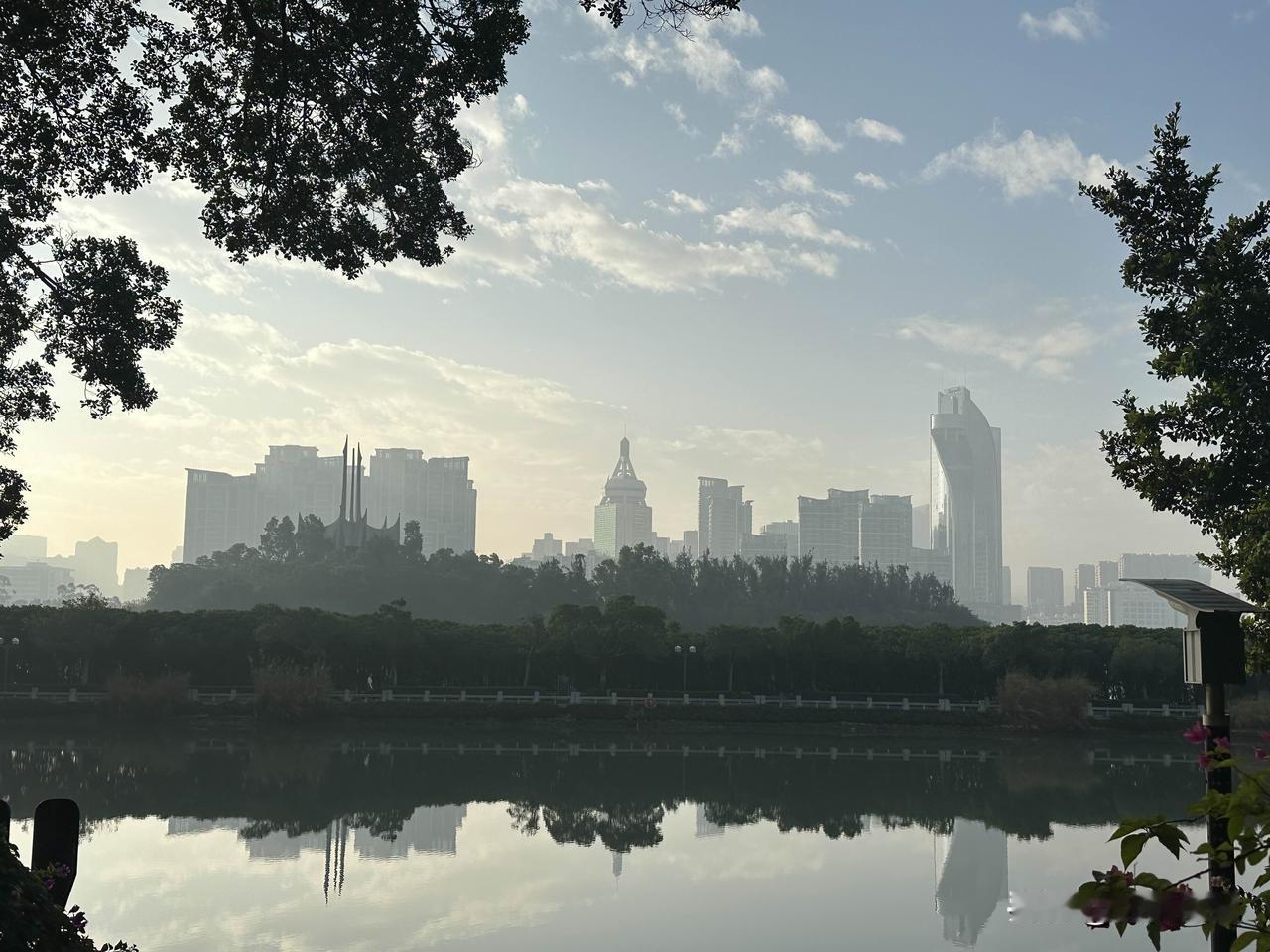 分享一张最近随手拍的照片