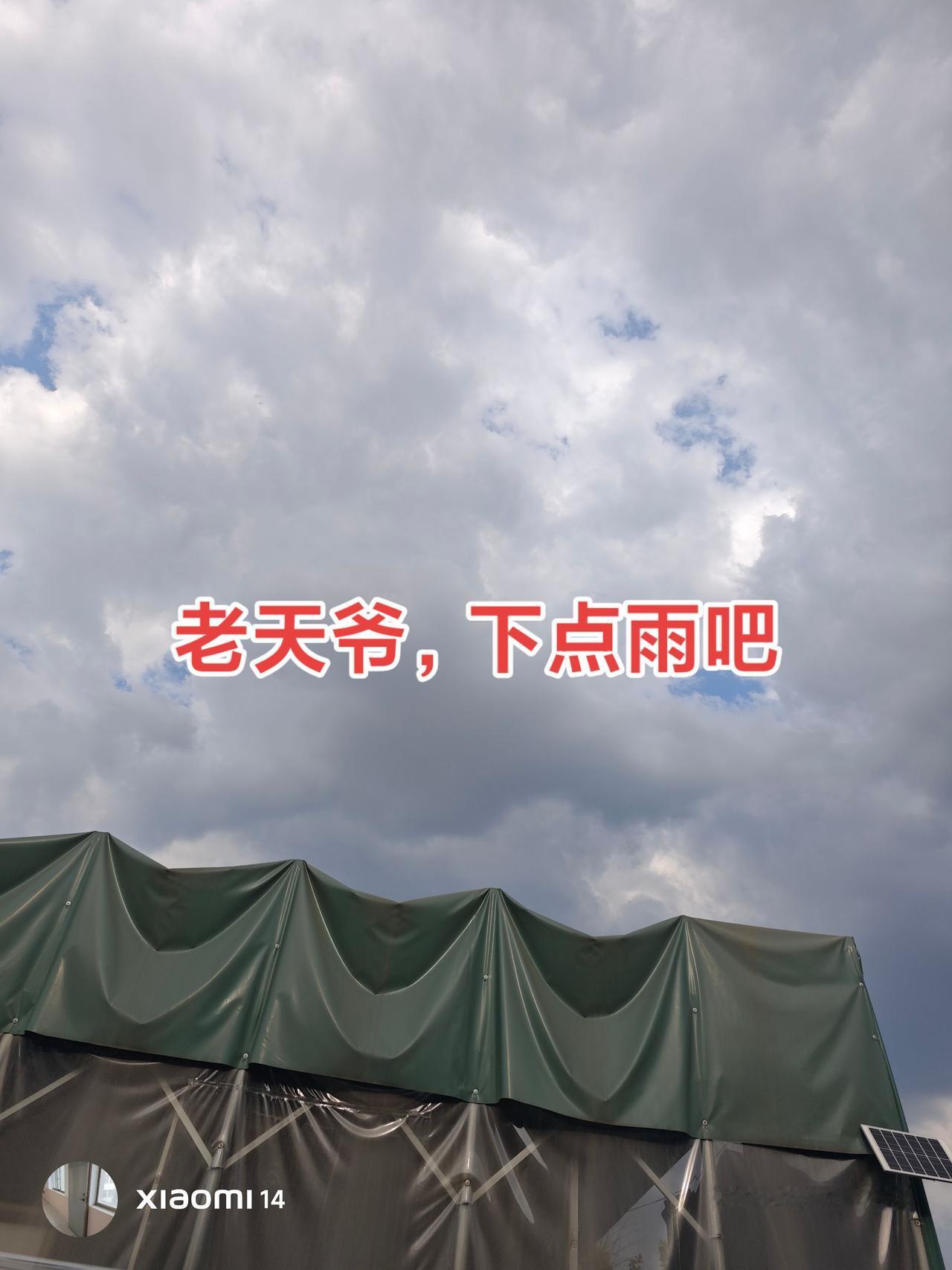 为什么我大多数选择和做法都是错的？有时是为了省钱，有时是没有眼光，有时是达不到阶