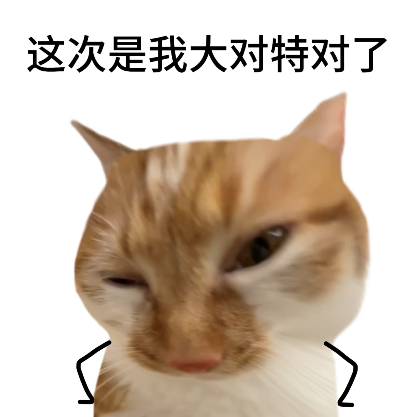 在我眼里zj早就没了 最多连人带盒三斤吧 