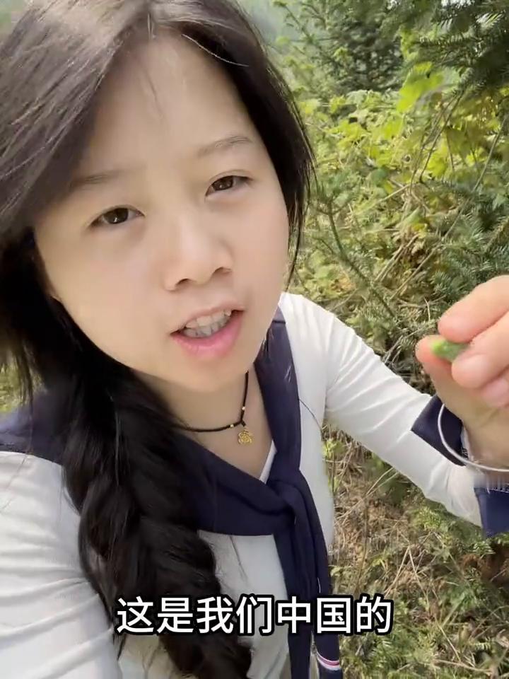 中国的回避一下，我给日本人还有美国人科普一下，这是中国的迷你小菠萝，懂吗？迷你小
