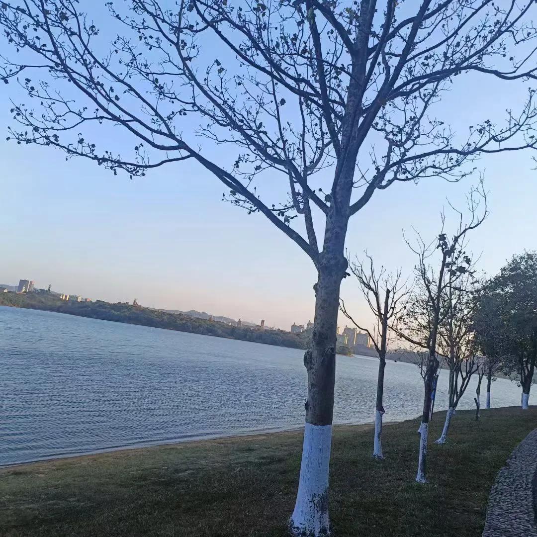 长大了有一次我去老家村里的小学，看到曾经的老师，也没有跟他打招呼，凭什么，打招呼