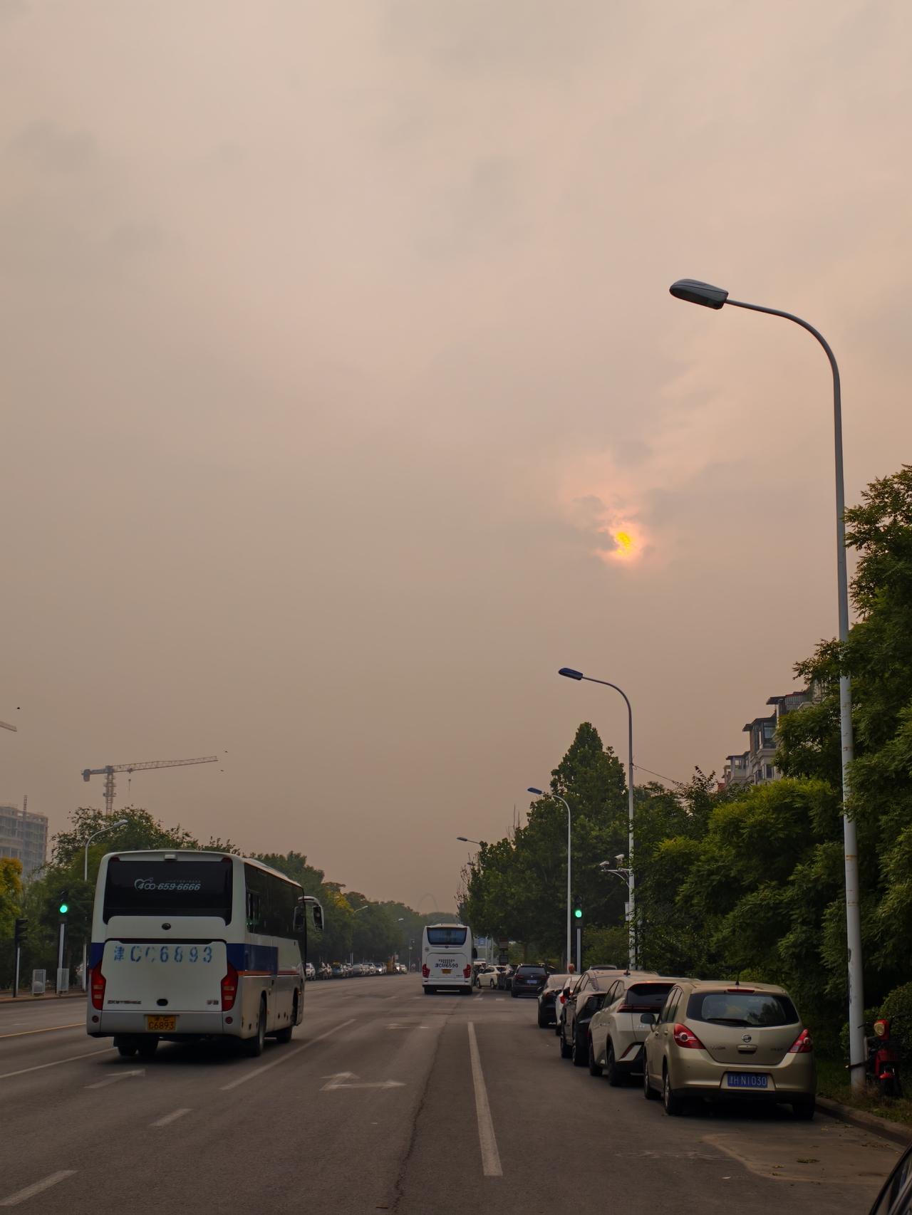 清晨跑步是什么感受?
清晨跑步有一种放飞自我、去除束缚的感觉！
意思就是在晨跑时