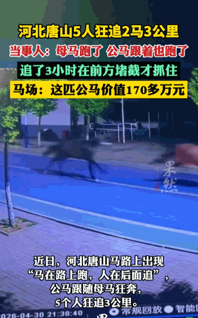 “马儿，没有你我怎么活呀！”据媒体5月6日报道，河北唐山一匹身价170多万的名贵