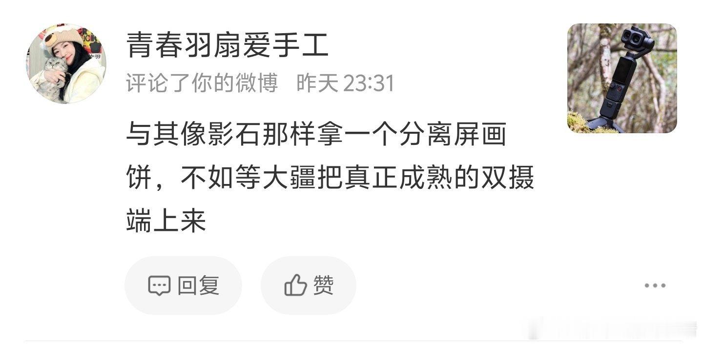 手持云台相机的两家在我评论区团建大赏： 