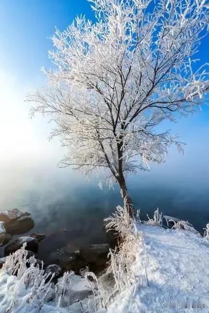 冰天雪地，雪花飘飘。用内心的热爱去创造美好，人生风景会越过越美