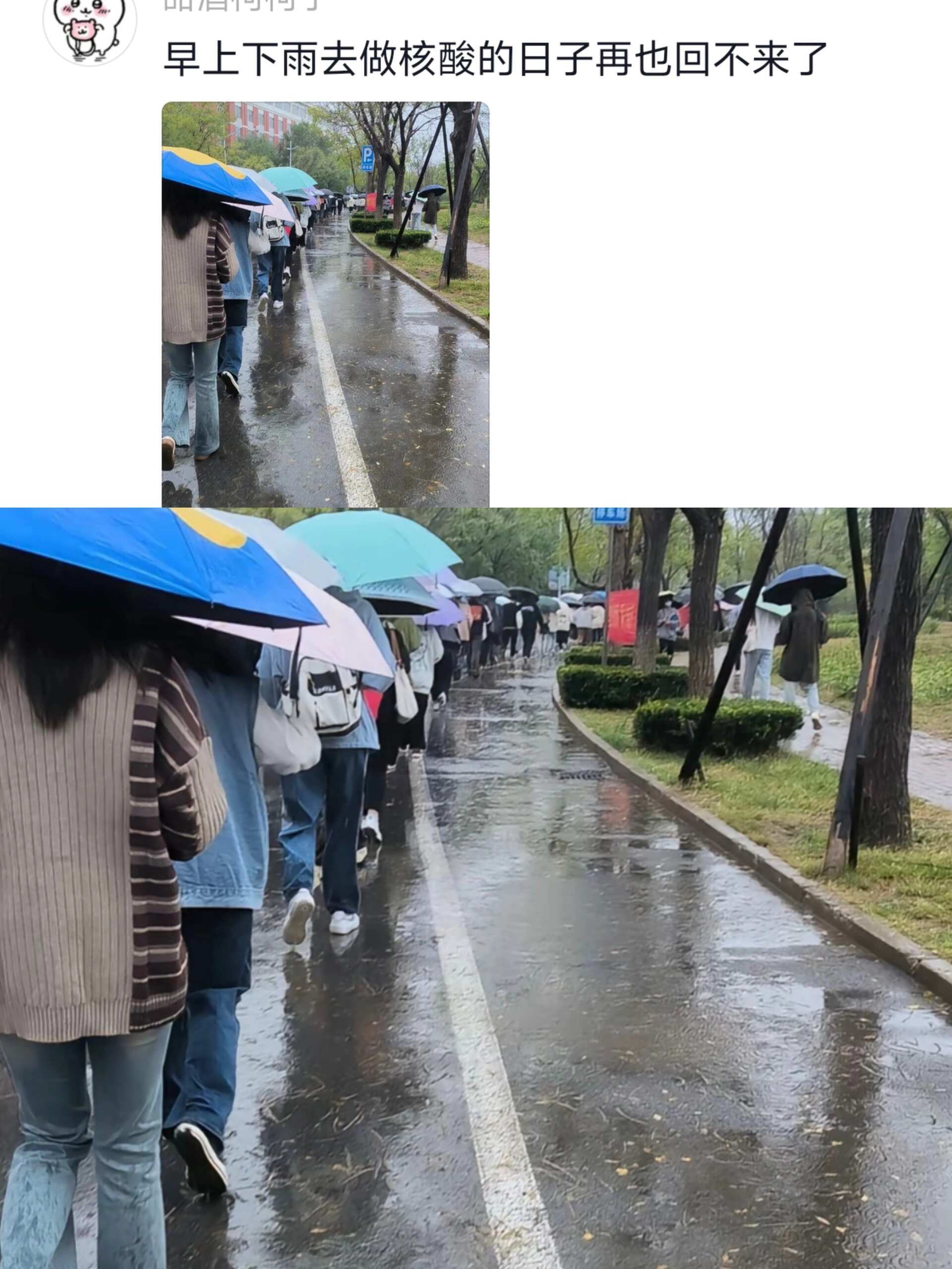 当时只道是寻常 