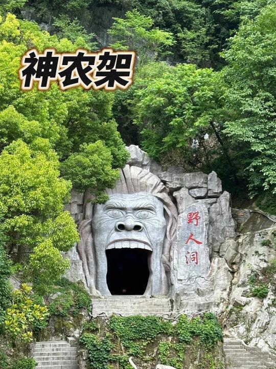 探秘神农架原始森林 感受自然力量~