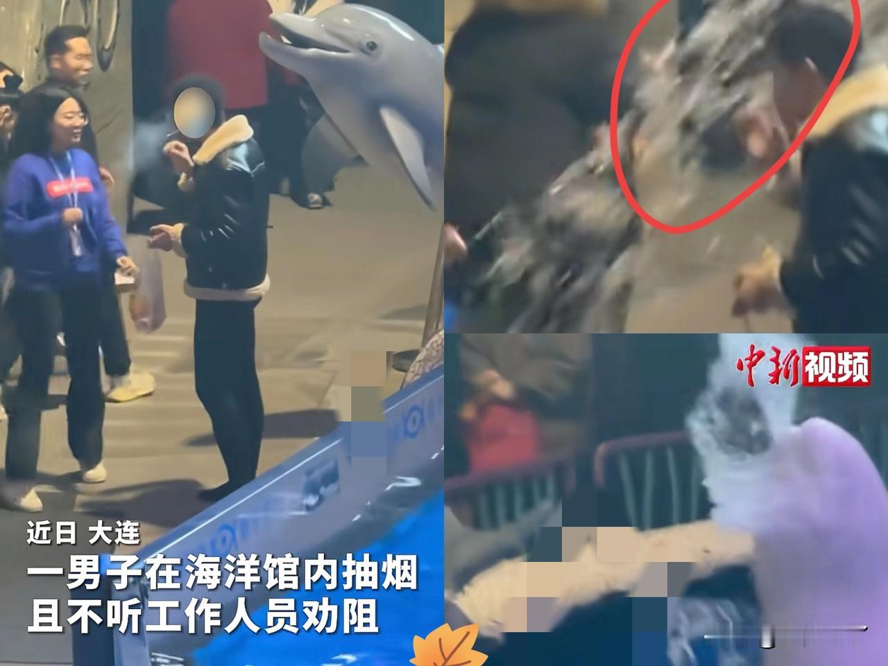 男子在海洋馆内抽烟，工作人员急慌慌上前制止：“先生这里不能抽烟！”结果男子左耳进