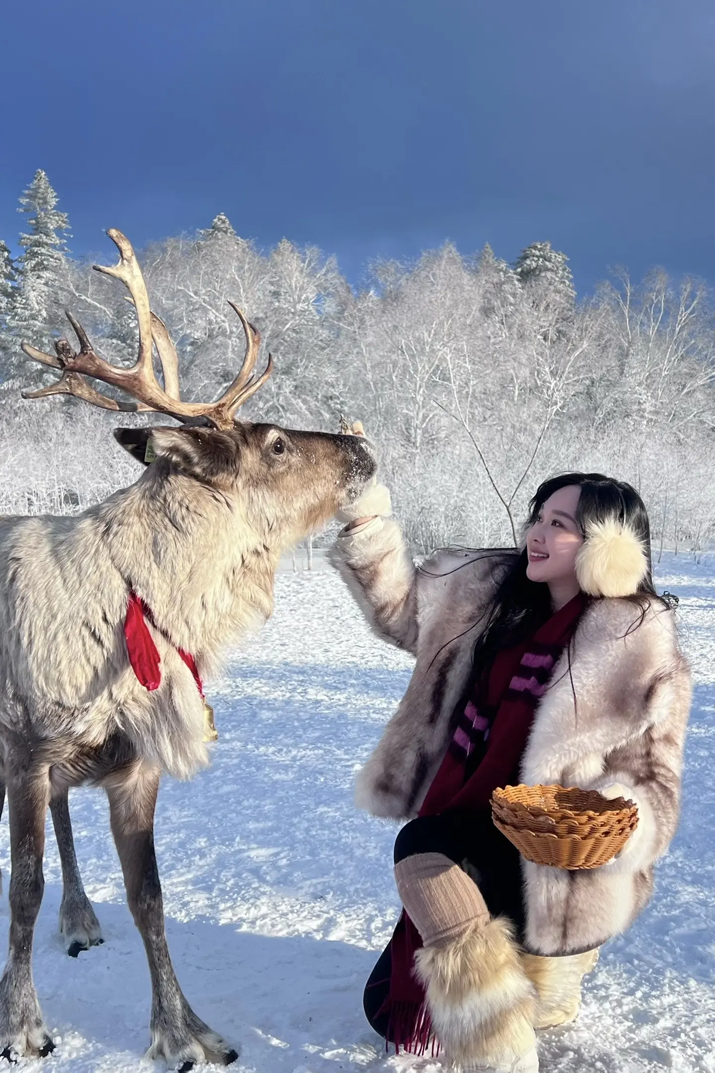 2025平安喜乐🥰。新年快乐