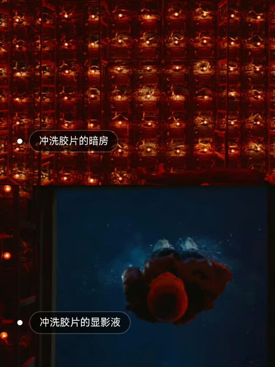 看狂野时代真的得二刷二刷《狂野时代》才懂细节有多绝！色彩串联篇章+符号藏深意，开